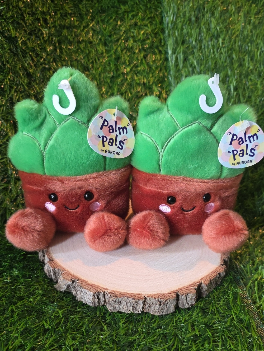 Palm Pals Succulents Lot Of 2